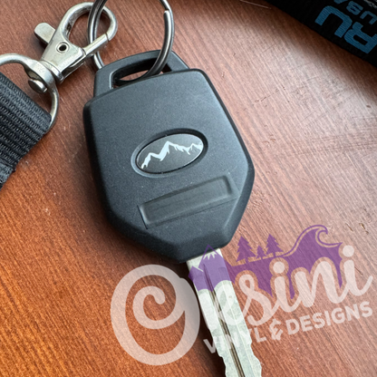 Keyfob Emblem Overlay Set