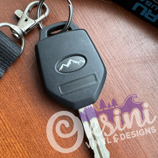 Keyfob Emblem Overlay Set