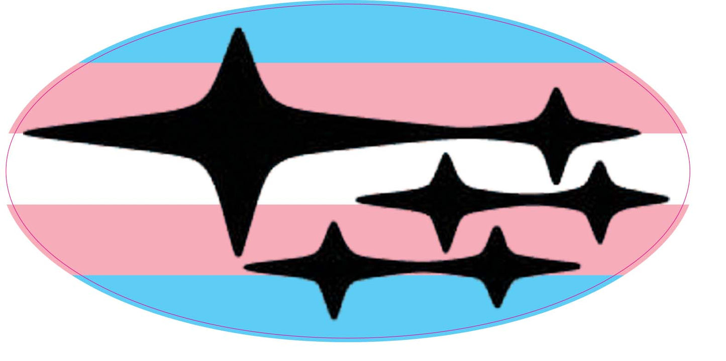 Trans Flag (Printed Vinyl) Emblem Overlay Decal Set